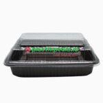 Mika Brownies S LUX Lbr