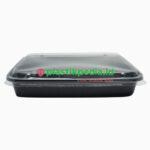 Bento Tanpa Sekat + Tutup IAT