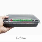 Bento Tanpa Sekat + Tutup IAT - Image 2