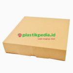 Ebox Pizza 22x22x4.5 Polos