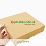 Ebox Pizza 22x22x4.5 Polos - Image 2