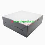Ebox 22x22x8 W Polos
